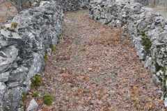 IMG-20230929-WA0009