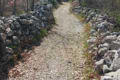 IMG-20230929-WA0010
