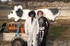 IMG-20240210-WA0056