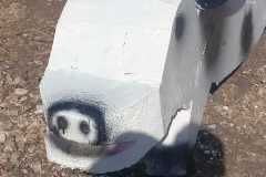 IMG-20240208-WA0017