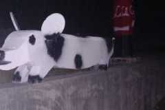 IMG-20240210-WA0037