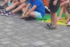 IMG-20240715-WA0104