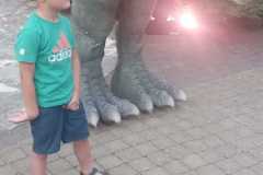 IMG-20240715-WA0028