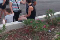 IMG-20240720-WA0068